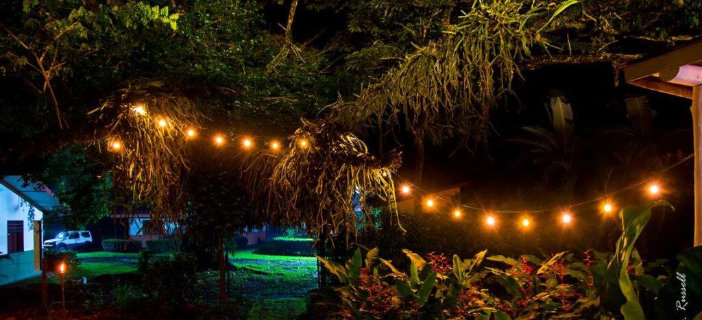 restaurantes en abangares opciones gastronomicas locales