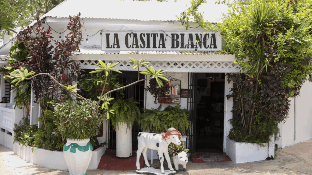 restaurantes en san juan opciones gastronomicas destacadas
