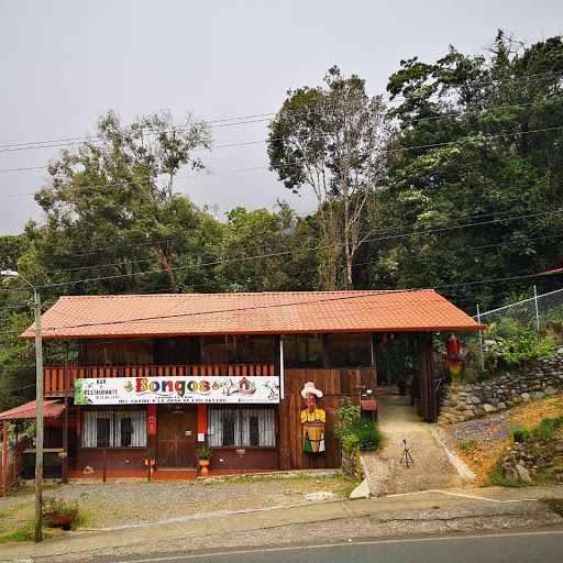 Restaurante y Cabañas Bongos